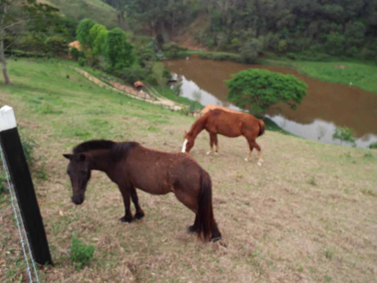 Estrela Da Serra Hotel Fazenda Santo Antônio do Pinhal المظهر الخارجي الصورة